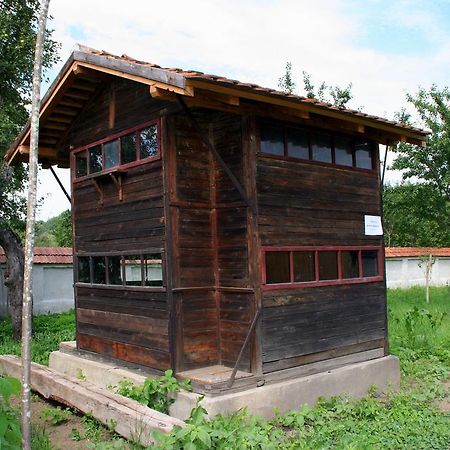 Transylvania Guesthouses Cincsor Dış mekan fotoğraf