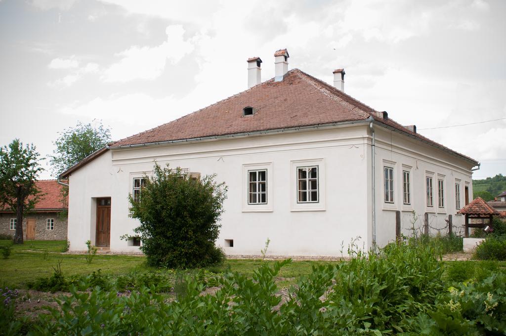 Transylvania Guesthouses Cincsor Dış mekan fotoğraf