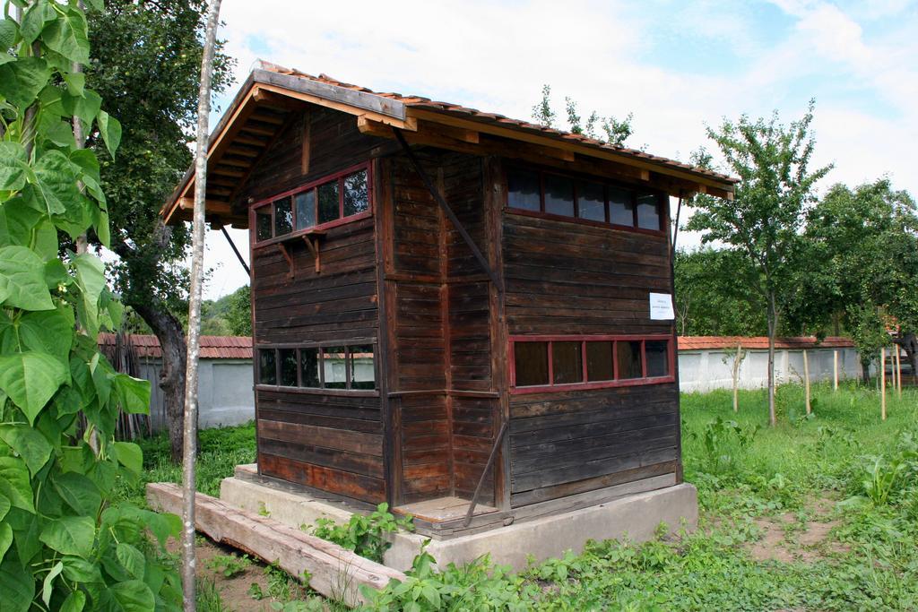 Transylvania Guesthouses Cincsor Dış mekan fotoğraf