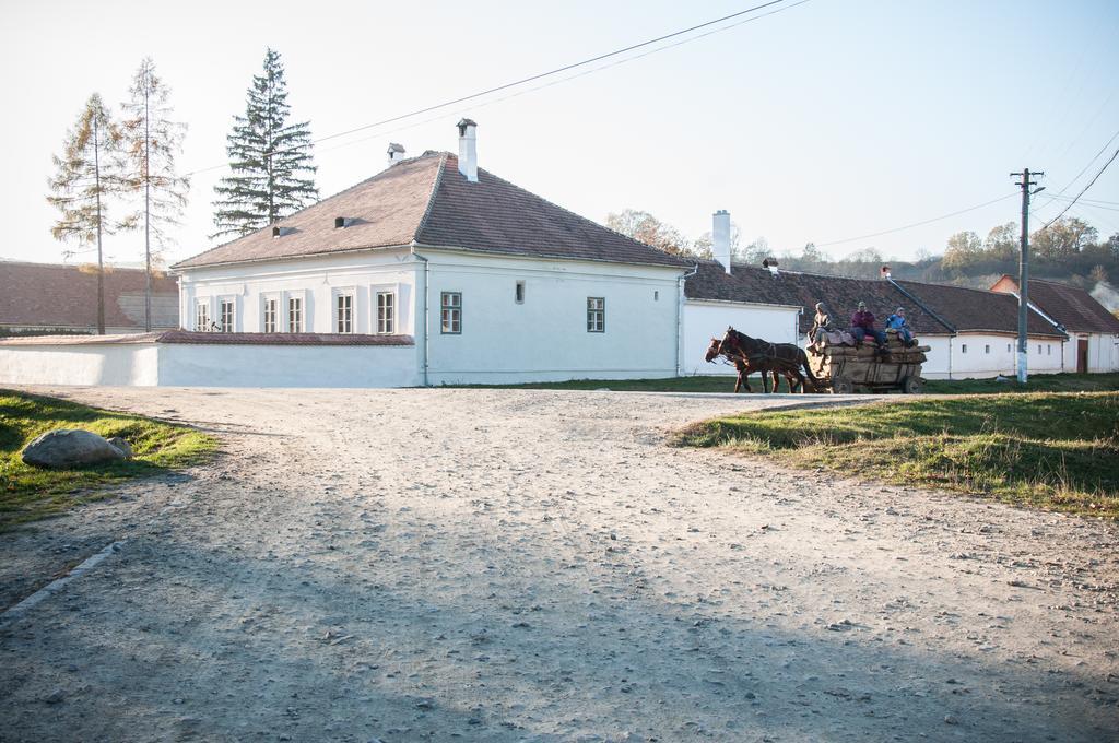 Transylvania Guesthouses Cincsor Dış mekan fotoğraf