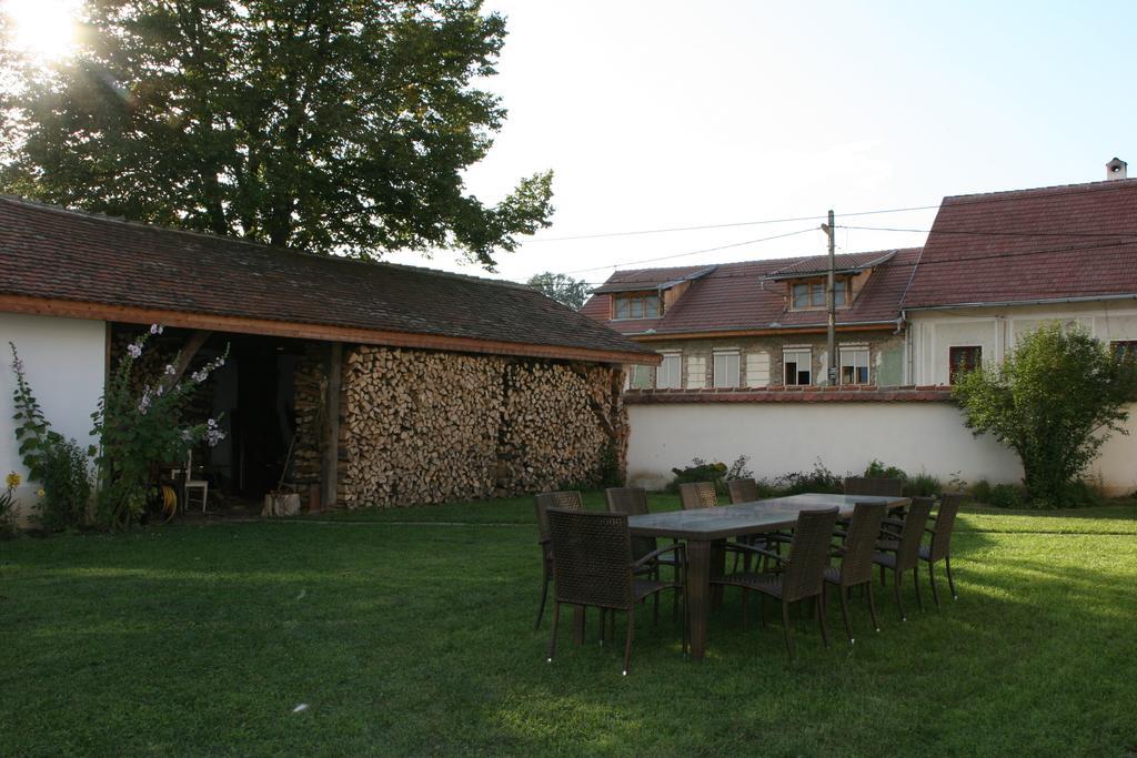 Transylvania Guesthouses Cincsor Dış mekan fotoğraf